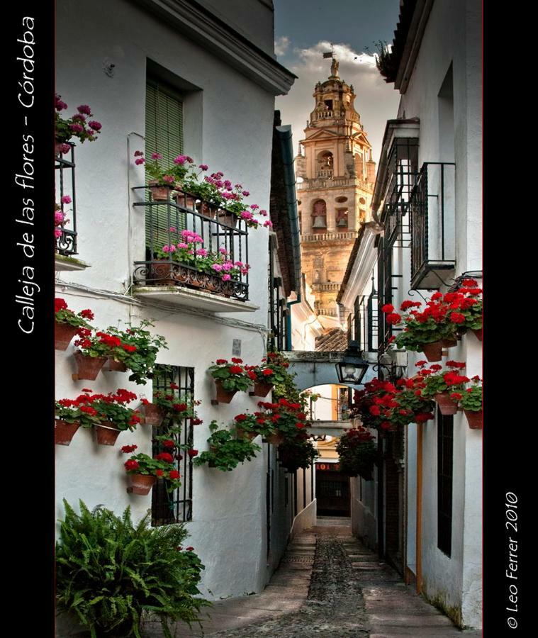 Luxury Viana Apartments Cordoba Exterior photo